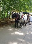 Mai/Juni 2019 Erzgebirge